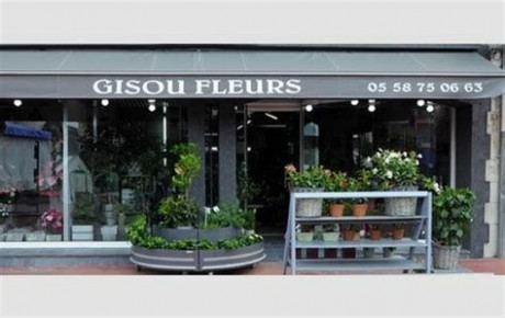 Gisou Fleurs. Mont de Marsan